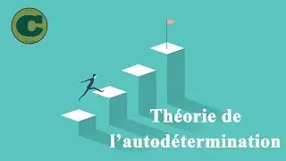 Théorie de l'autodétermination | 3 minutes de culture #70