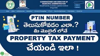 Property Tax Payment Online