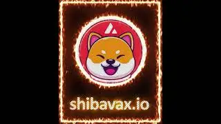 #Shibavax #shibx #Avalanche