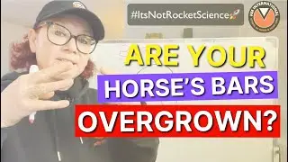 Are your horse's BARS OVERGROWN? 😳 Understand the HOOF!
