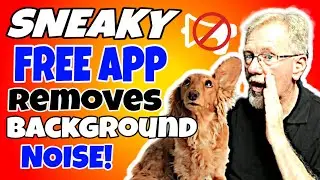 This One Sneaky Free App Removes All Background Noise - Krisp Review