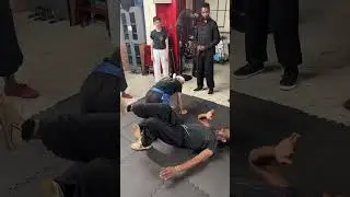 Northern Shaolin Kung Fu Grappling Class #sifujasonlee #7starprayingmantis #grappling #ufc #boxing