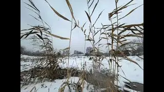 Wuhan Snowscape: A Visual Poem (Still Images & Music) January 20, 2026