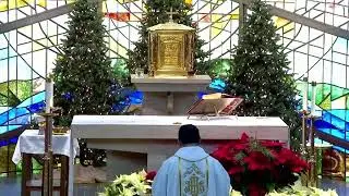 8:30AM Tuesday Mass