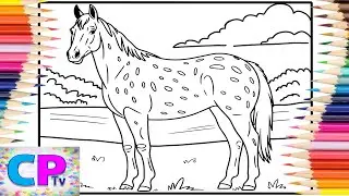 Appaloosa Horse/A Beautiful Horse Eats the Grass Near the River/Art Therapy/Coloring Process