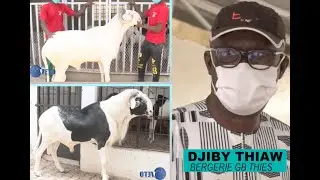 DALALE NDANANE  DJIBY THIAW BERGERIE GB