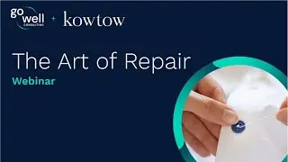 Webinar 2025: The Art of Repair