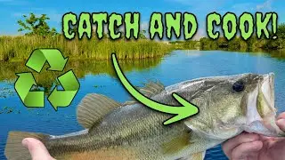 Recycling OLD Fishing Lures Into NEW Ones! (Bass Catch and Cook!)