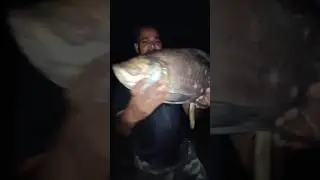 4 kg katla jumki pr shikar #shortvideo #viralvideo#fishing