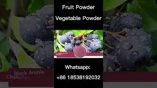 Organic Fruit And Vegetable Powder Wholesale Price   #fruitpowder #vegetablepowder
