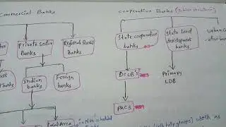 ||credit cooperative structure||