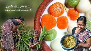 பந்தன் அறுவடை💚☘️ & ரம்பை அரிசி உருண்டை🤤 | FARM COOKING | PODHIGAI THOTTAM