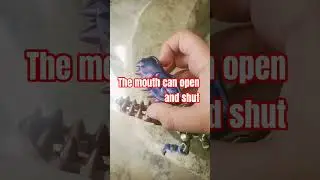 3D printed dinosaur #animation #art #funny