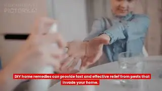 Pest Control: Fast & Effective Relief for your Home