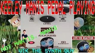 Keeley Manis Overdrive Pedal Playing on a Korg Monologue (Klon Centaur Klone Clone Adjacent)