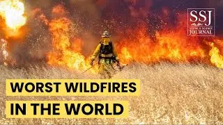 The Worst Wildfires in the World | Siberian Wildfires