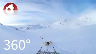 360&deg; Dogsledding Tour in East Greenland