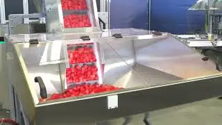 3-in-1 High-capacity Lining and Assembly Machine for Child Resistant Closures