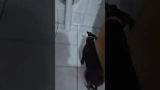 Essa coca &eacute; fanta.