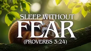 How to Sleep Without Fear Tonight (Proverbs 3:24)