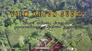 View Kebon Sudri dari udara degan cuaca cerah 