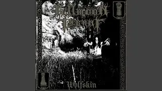Like Some Snow - White Marble Eyes (Summoning Cover)