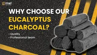 Why Choose PNP's Eucalyptus Charcoal? #eucalyptuscharcoal