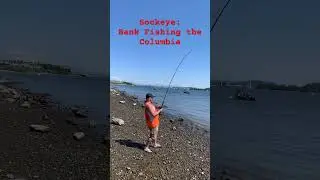 plunking for sockeye and steelhead