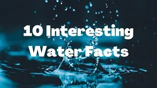 10 SURPRISING WATER FACTS  | AMAZING FACTS ABOUT WATER | COFFEE FACTS | INFORMATION BREW |