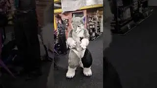 Wiggle Wiggle Wiggle!