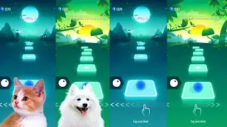 Tiles hop EDM Rush   Ginger cat vs White dog on Ball Games channel