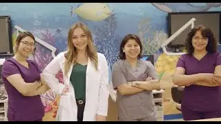 How Dental Service Organizations Support Dentists