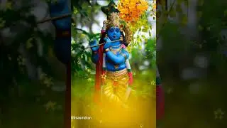 Vishu #2021