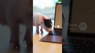 Microsoft - Surface Laptop - Copilot+ PC - 13.8
