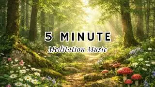 5 Minute Angel Meditation Music for Finding Direction | Quiet Music to Find Your Path