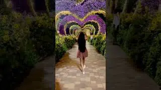 Miracle Garden Dubai 🤩 world largest flower garden #ytshorts #dubai #viral