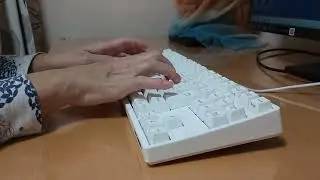 FILCO Majestouch2 HAKUA Tenkeyless 茶軸 打鍵音　20251024