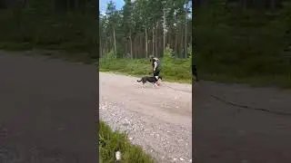 Luntun keppi-ilmaisut ja eka mets&auml;j&auml;lki