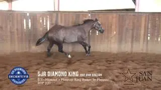 SJR Diamond King