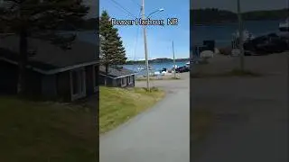 Бивер-Харбор, Нью-Брансуик #4kdrive #newbrunswickcanada