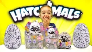 LIMITED EDITION HATCHIMAL COLLEGGTIBLES TOY OPENING - NEW TOYS FOR 2017 -SURPRISE BLIND BAGS