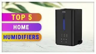 Top 5 Best Home Humidifiers