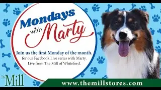 Mondays with Marty: True Chews Dog Treats🐾