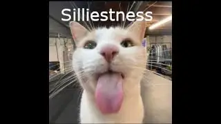 Silliestness - Fnati:AE Ridiculous And Silly CN