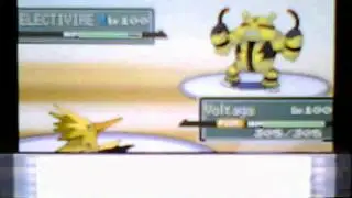 Wi-Fi Battle #6 vs. Steeleagle17 (Rain vs. Brawn)