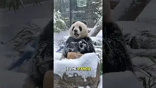The Most Useless Animals You Won't Believe Exist!