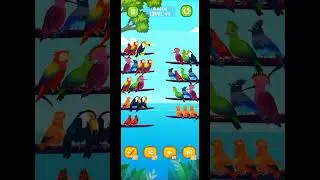 Bird sort color puzzle level 91 gameplay walkthrough solution Android gameplay #short #game
