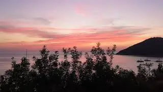 Viticcio - Isola d'Elba