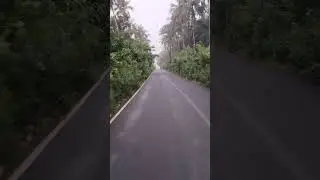 Cycling in #goa #travel #nature#naturelove#cycle #cycling #bicycle #fog #nature #road