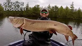 My Biggest Wisconsin Musky of All Time!  51-inch GIANT Destroys Topwater!! S5.E01